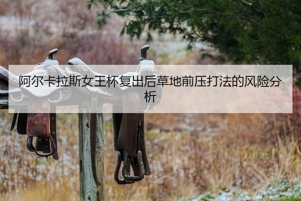 a-er-ka-la-si-nv-wang-bei-fu-chu-hou-cao-di-qian-ya-da-fa-de-feng-xian-fen-xi-2-795.jpg