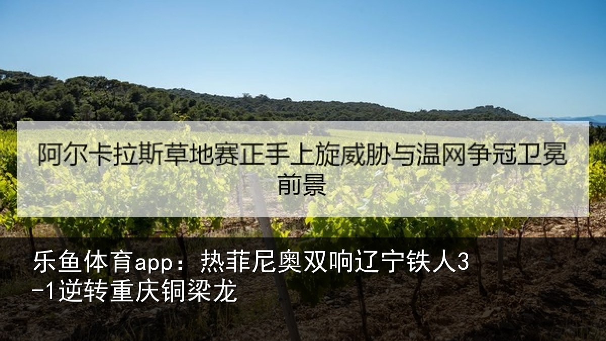 乐鱼体育app：热菲尼奥双响辽宁相关情况龙