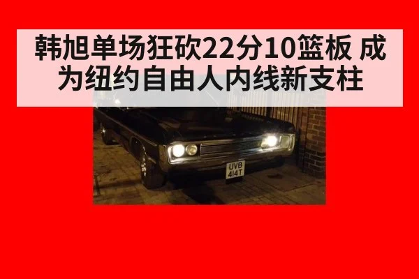 韩旭单场狂砍22分10篮板 成为纽约自由人内线新支柱